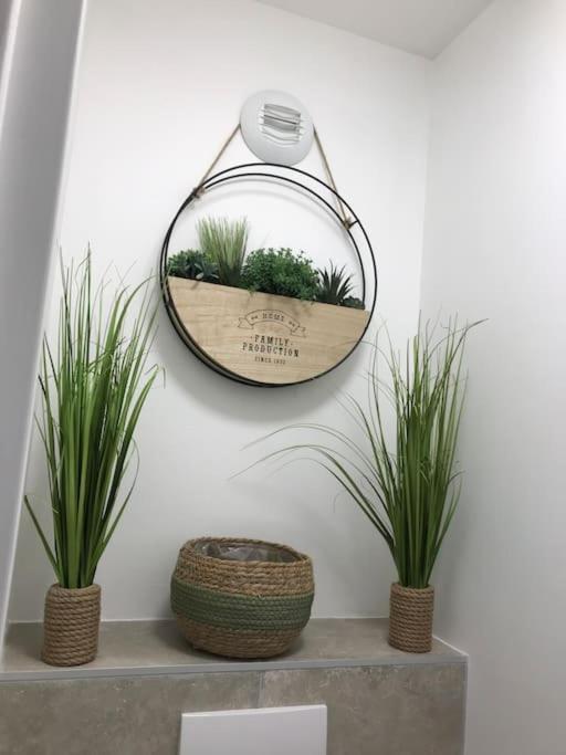 Studio « Oasis Provencale » Vallauris Εξωτερικό φωτογραφία